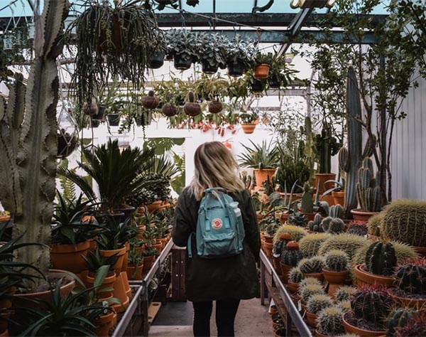 girl in succulent shop