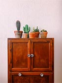 dresser with cacti