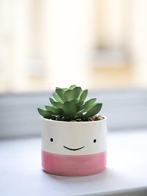 smile pot